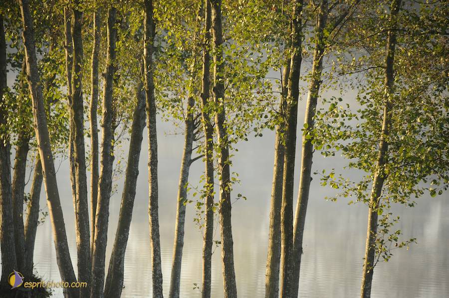 Nom de l'image : D30082682_1_(c)Norbert-JUNG — Description :